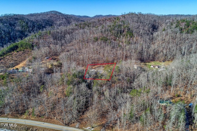 birds eye view of property featuring a mountain view