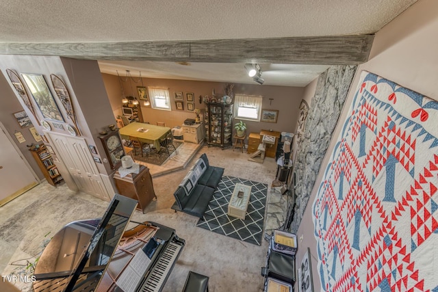 living room with carpet and a textured ceiling