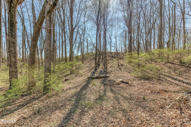 view of local wilderness