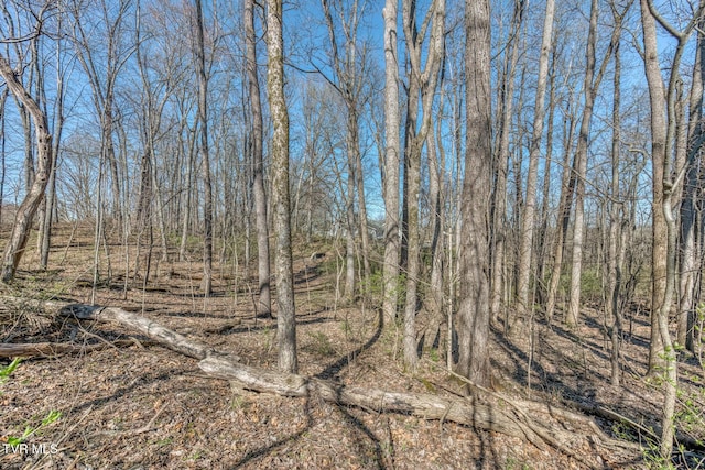 view of nature