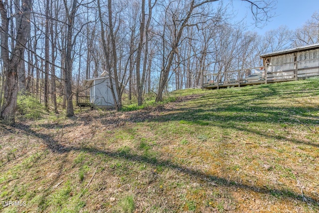 view of yard with an outdoor structure