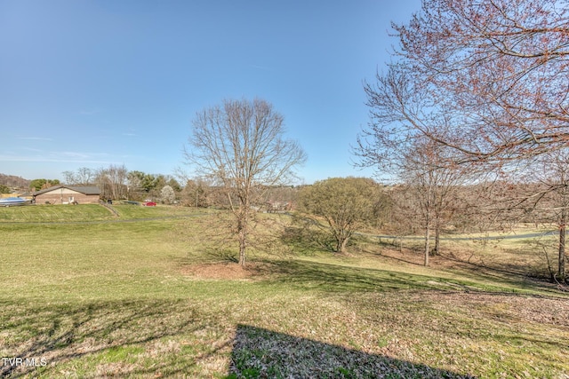 view of yard with a rural view
