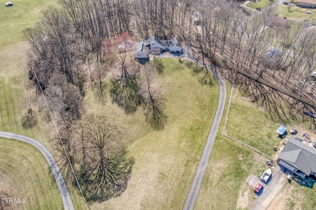 bird's eye view
