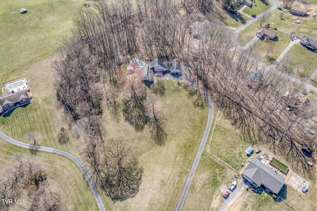 drone / aerial view
