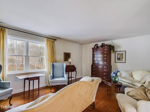 living room with hardwood / wood-style flooring