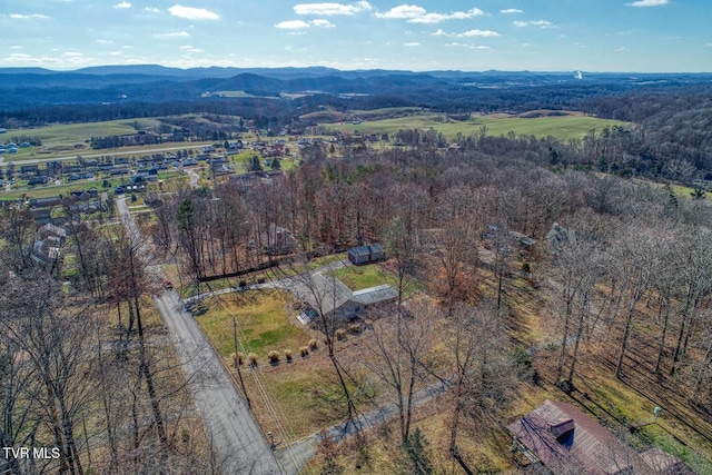 bird's eye view with a mountain view