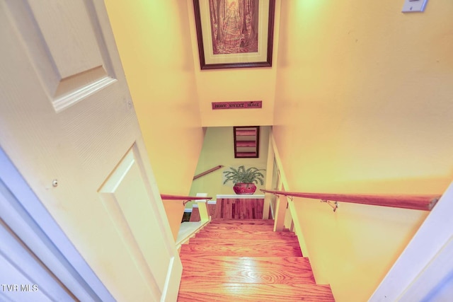 staircase featuring wood-type flooring