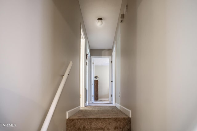 stairway with carpet