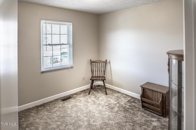 living area with carpet floors and a textured ceiling