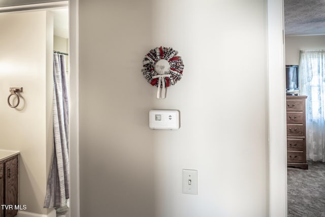 details featuring carpet flooring and a textured ceiling