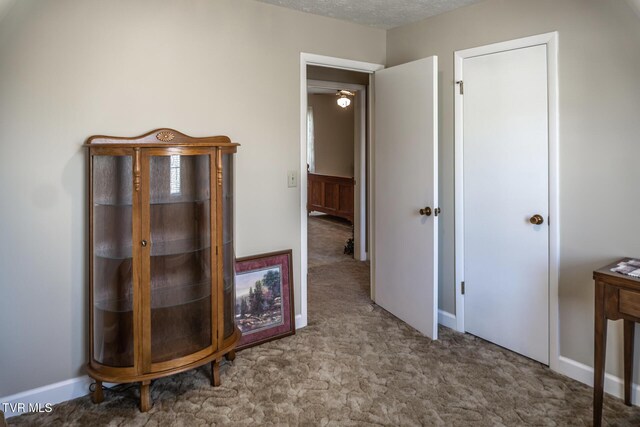 interior space with light carpet