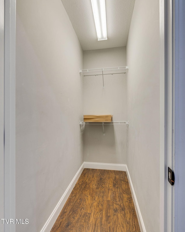 spacious closet featuring dark hardwood / wood-style flooring