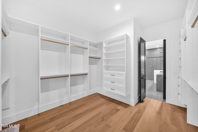 spacious closet with light hardwood / wood-style flooring