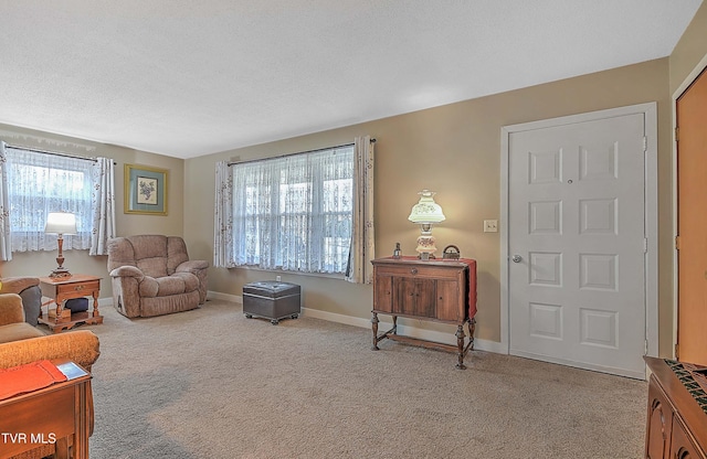 living area featuring a textured ceiling and light carpet