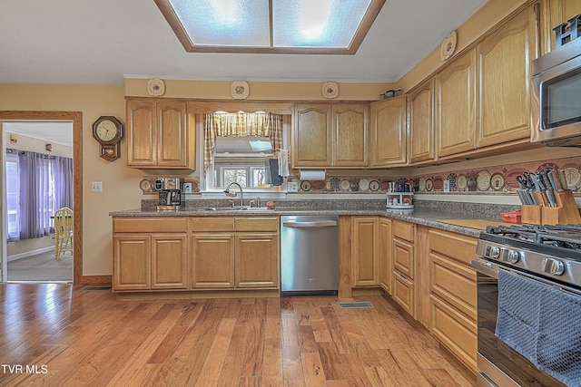 kitchen with sink, light hardwood / wood-style floors, and appliances with stainless steel finishes