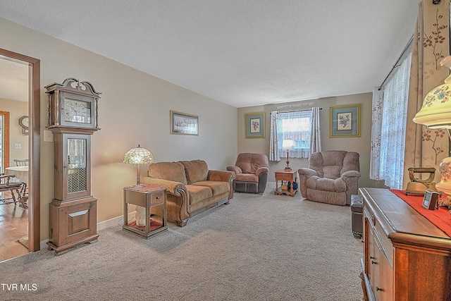 carpeted living room with a textured ceiling