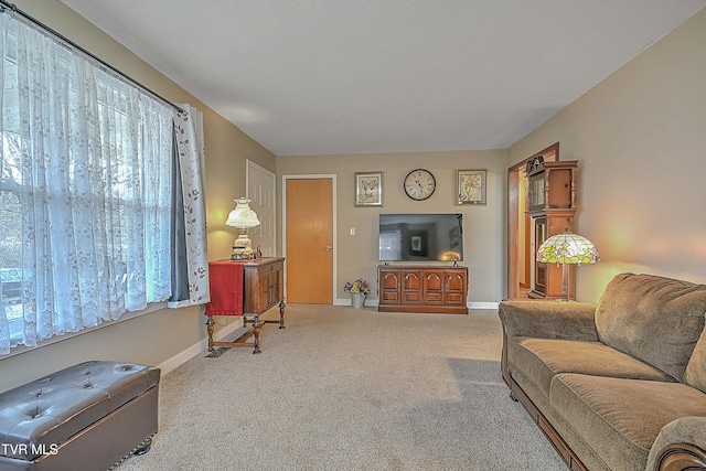 living room featuring carpet