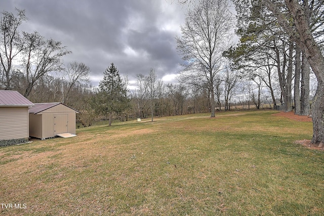 view of yard with a shed