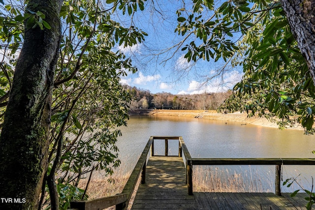 dock area featuring a water view