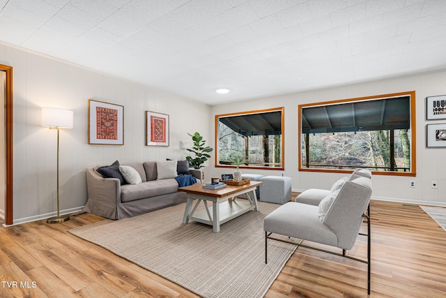 living room with light wood-type flooring