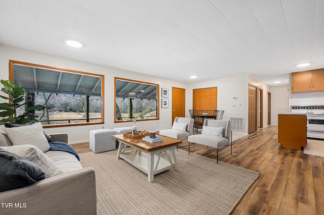 living room featuring hardwood / wood-style flooring