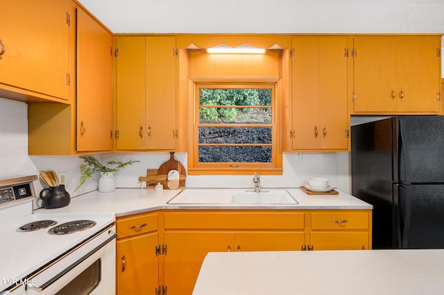 kitchen featuring electric range, black refrigerator, and sink