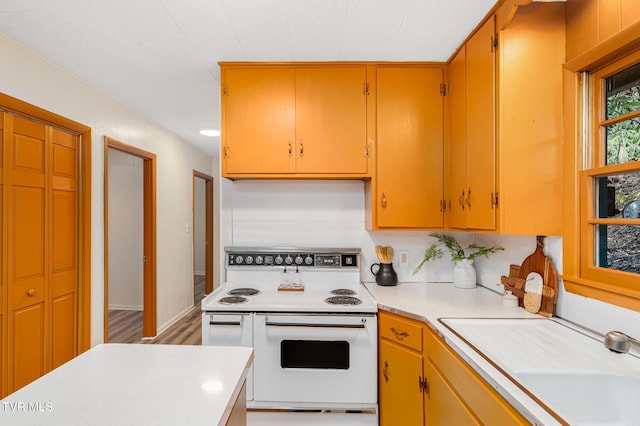 kitchen with white electric range oven, light hardwood / wood-style flooring, and sink