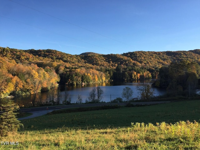 water view featuring a mountain view