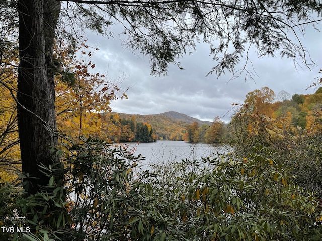 water view with a mountain view