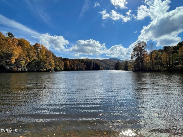 water view