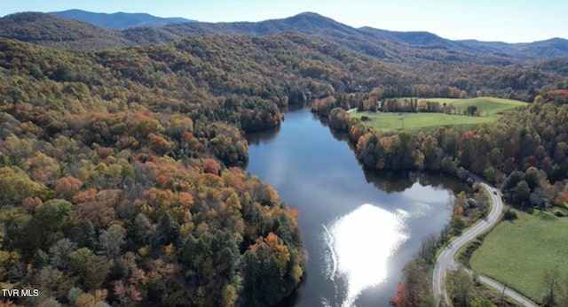 drone / aerial view with a water and mountain view