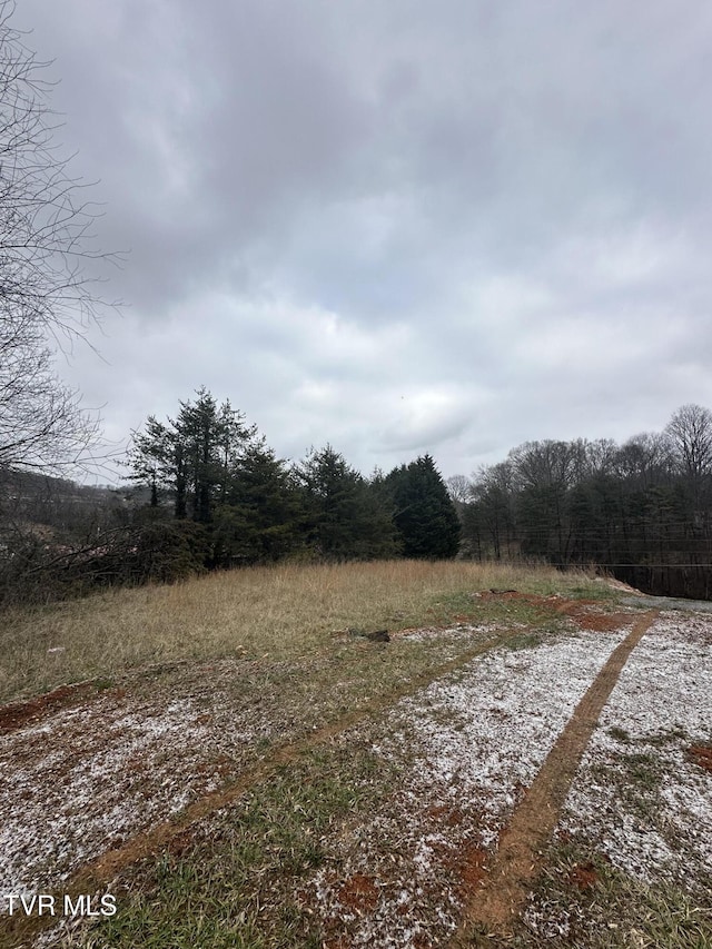 715 Hammond Ave, Mount Carmel TN, 37645 land for sale