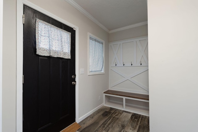 mudroom with crown molding and dark wood-type flooring