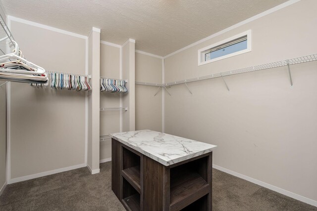 spacious closet with dark carpet