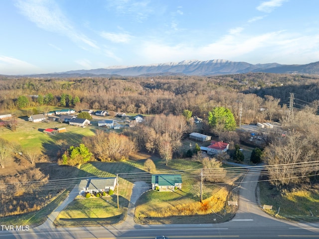 birds eye view of property with a mountain view