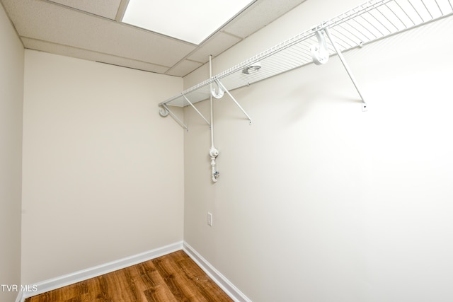 spacious closet featuring wood-type flooring and a paneled ceiling