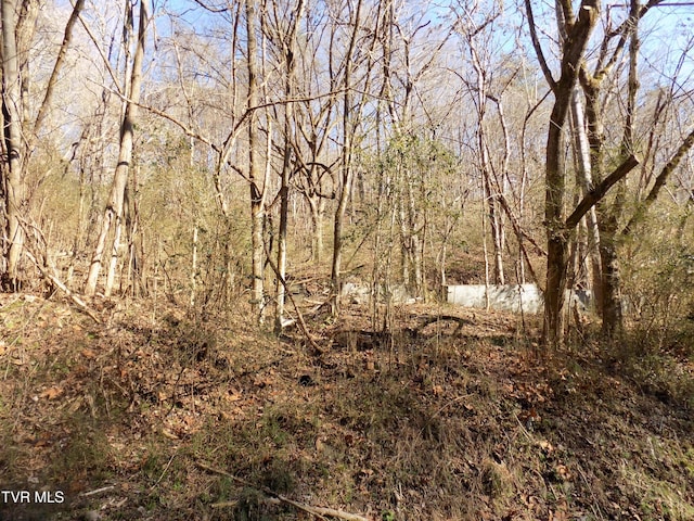 Listing photo 2 for TBD Holston St, Rogersville TN 37857