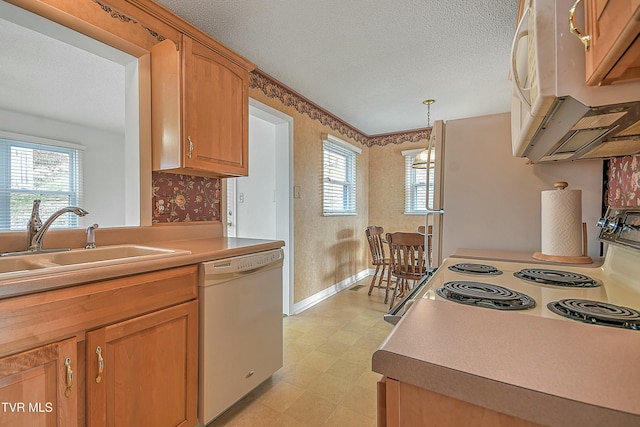 kitchen featuring pendant lighting, white appliances, sink, and a wealth of natural light