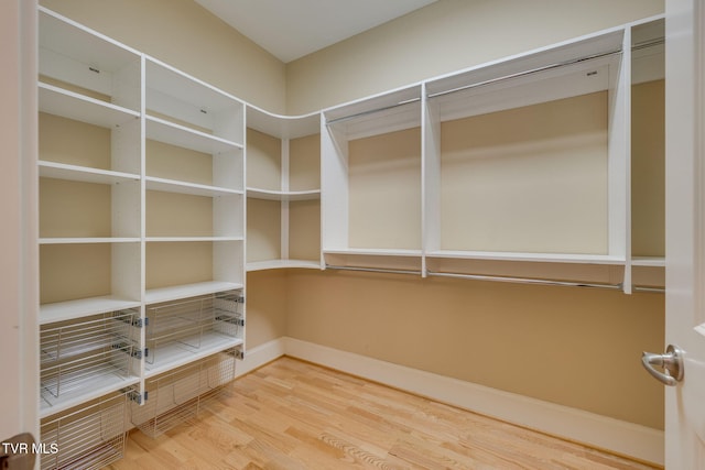 spacious closet with hardwood / wood-style flooring