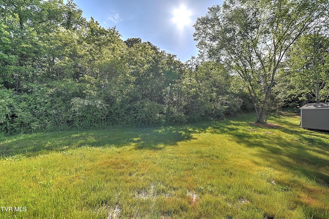 518 Deborahs Way, Greeneville, TN 37743 - photo 60
