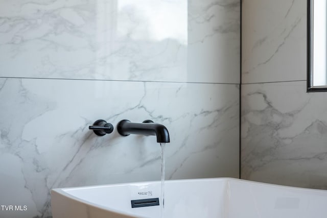 room details featuring sink and a bathing tub