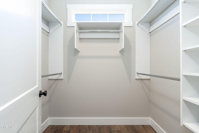 walk in closet with dark hardwood / wood-style flooring