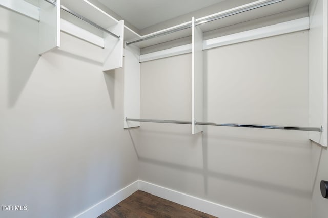 walk in closet with dark hardwood / wood-style floors