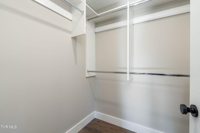 spacious closet featuring dark hardwood / wood-style floors