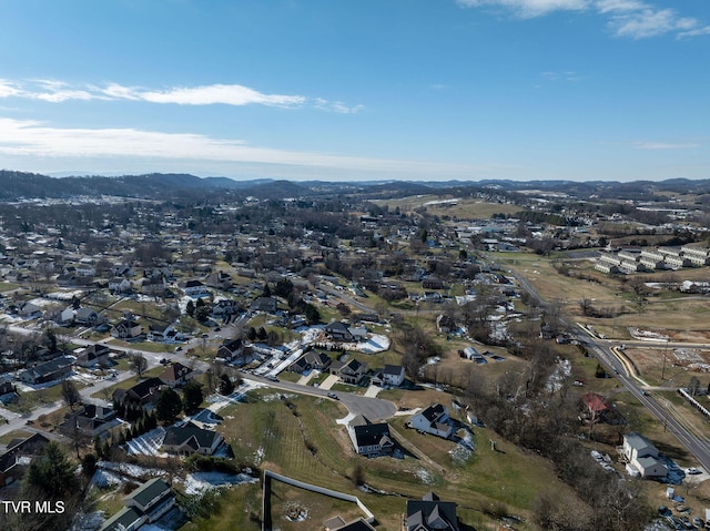 birds eye view of property featuring a mountain view