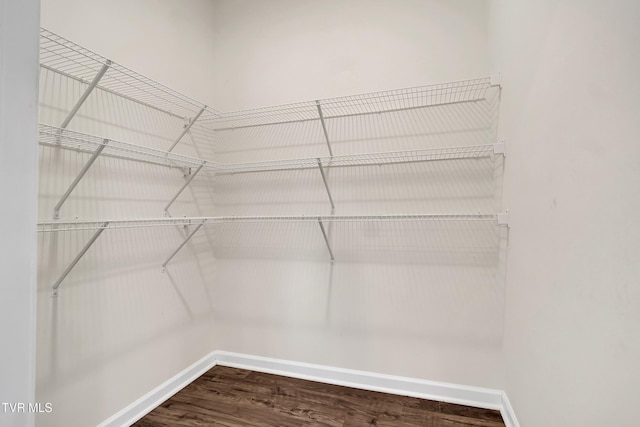 walk in closet featuring hardwood / wood-style floors