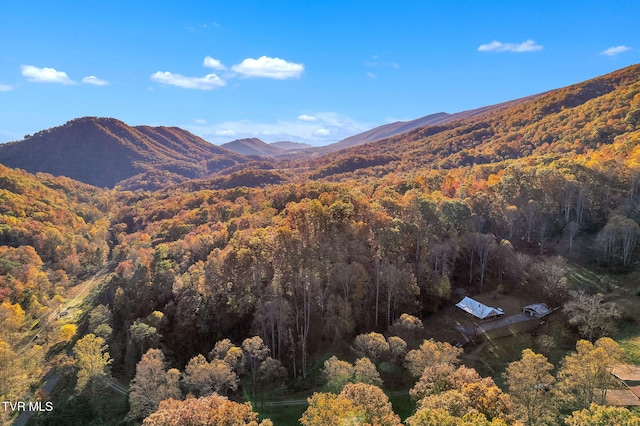 view of mountain feature