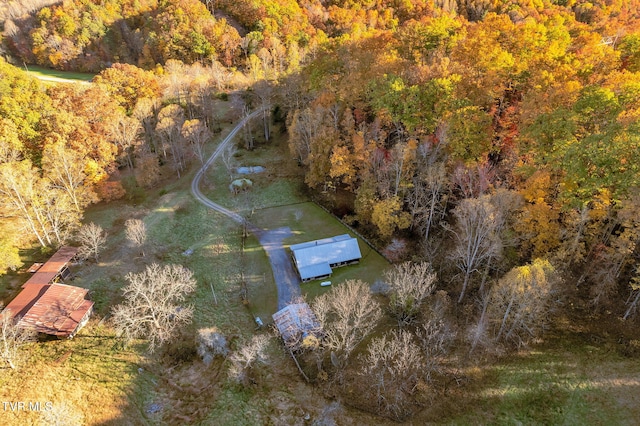 bird's eye view