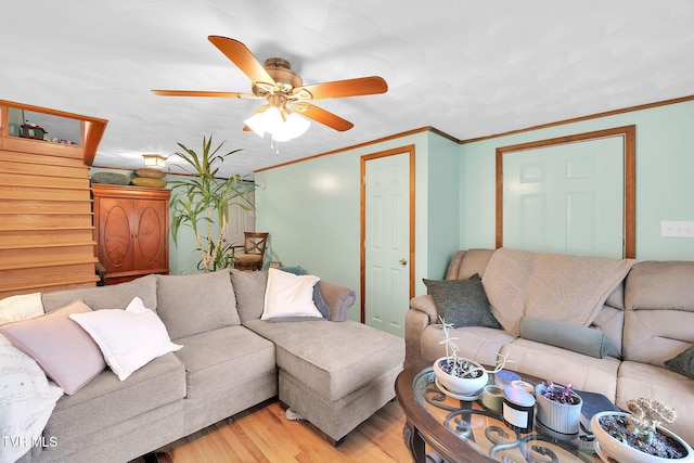 living room with ceiling fan, crown molding, and hardwood / wood-style flooring