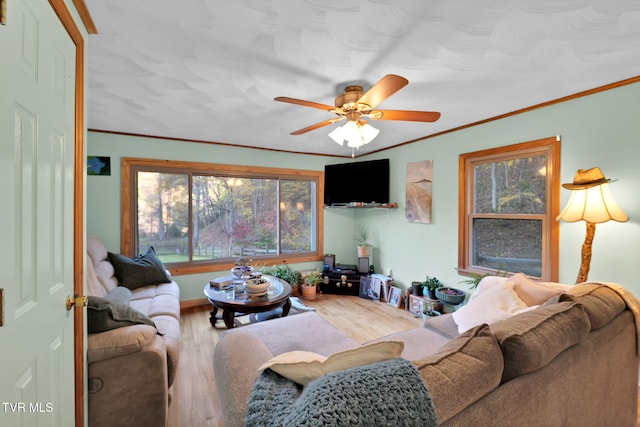 living room featuring ceiling fan, ornamental molding, and hardwood / wood-style flooring